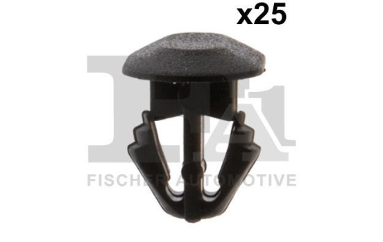 Clip, decorative/protective strip