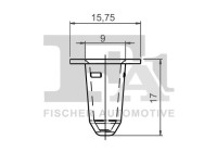 Clip, decorative/protective strip