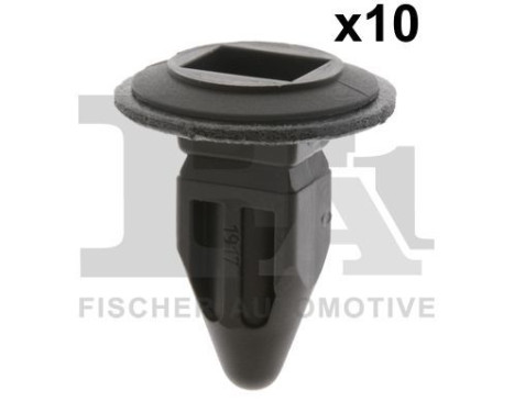Clip, decorative/protective strip