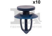 Clip, decorative/protective strip
