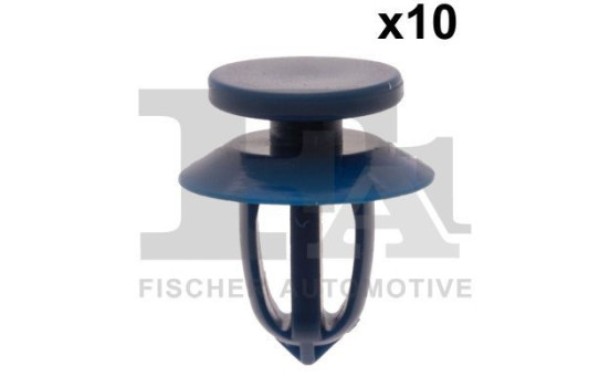 Clip, decorative/protective strip