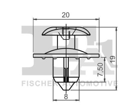 Clip, decorative/protective strip