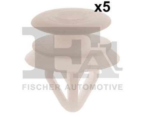 Clip, decorative/protective strip