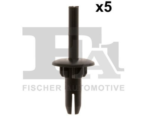 Clip, decorative/protective strip