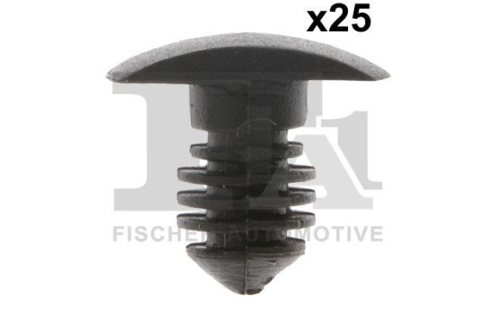 Clip, decorative/protective strip