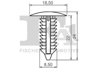 Clip, decorative/protective strip