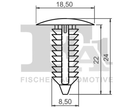 Clip, decorative/protective strip
