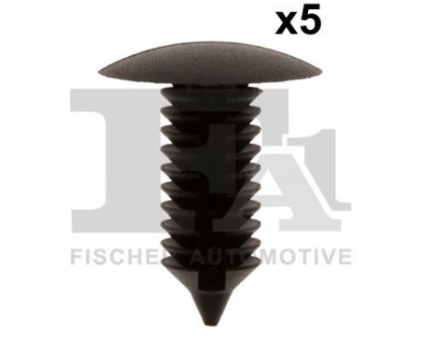 Clip, decorative/protective strip