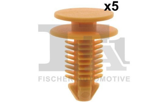 Clip, decorative/protective strip