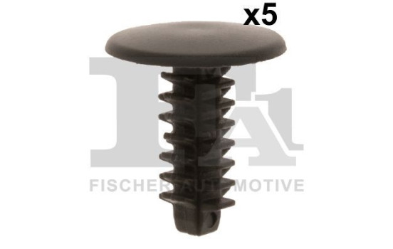 Clip, decorative/protective strip