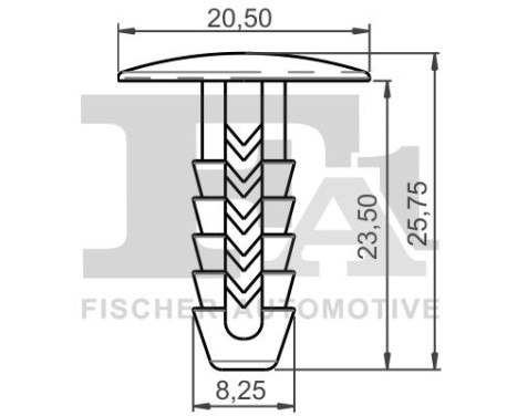 Clip, decorative/protective strip