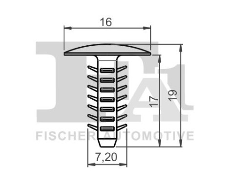 Clip, decorative/protective strip