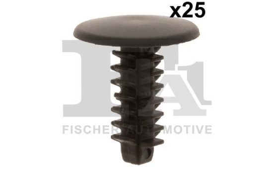 Clip, decorative/protective strip
