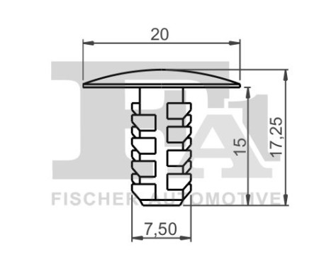 Clip, decorative/protective strip