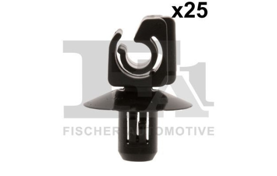 Clip, decorative/protective strip