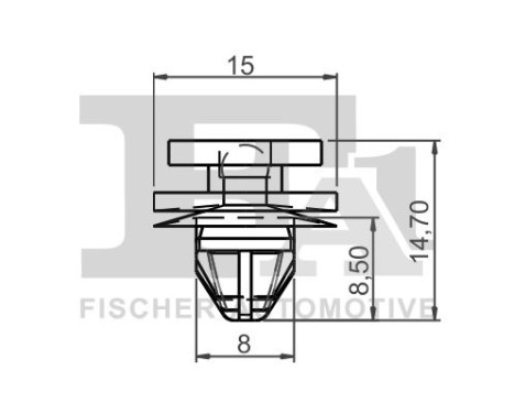 Clip, decorative/protective strip