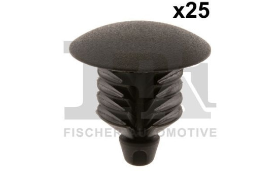 Clip, decorative/protective strip