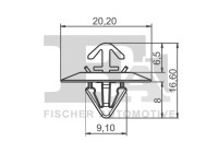 Clip, decorative/protective strip