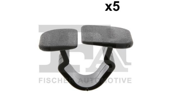 Clip, decorative/protective strip