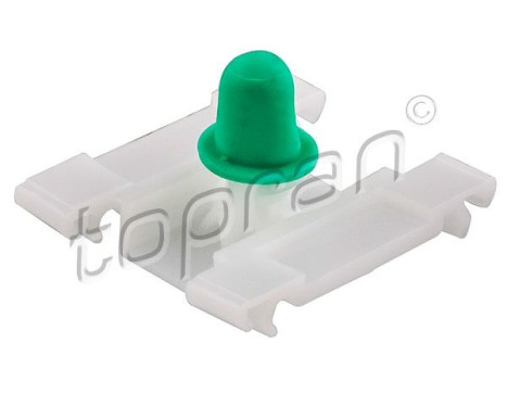 Clip, trim/protective strip