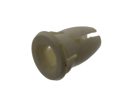 Clip, trim/protective strip