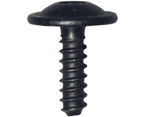 Self-tapping screw OEM: n90775001 - 5 pieces