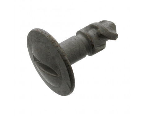 Skid Plate
