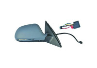 Exterior mirror 1018225 Diederichs