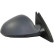 Exterior mirror 1826224 Diederichs