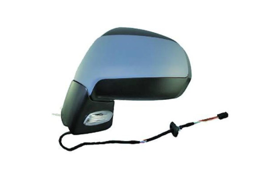 Exterior mirror 4235425 Diederichs