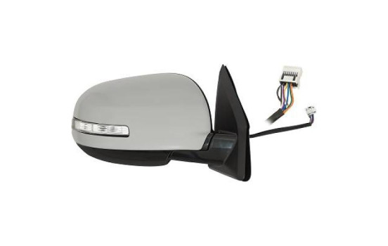 Exterior mirror 4244824 Diederichs