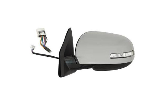 Exterior mirror 4244825 Diederichs
