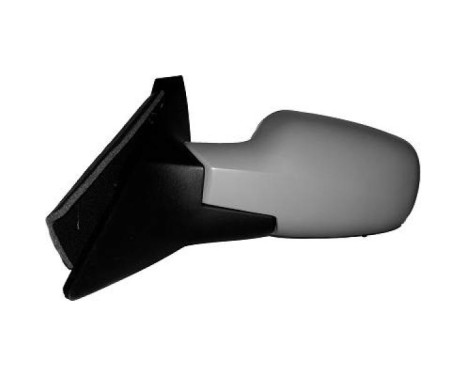 Exterior mirror 4464425 Diederichs