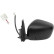 Exterior mirror 6089125 Diederichs