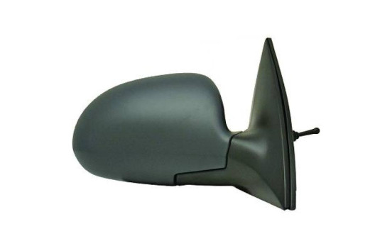 Exterior mirror 6835324 Diederichs