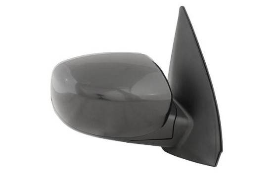 Exterior mirror 6852026 Diederichs