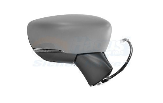 Exterior mirror * HAGUS * 3336828