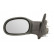 Exterior Mirror