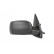 Exterior Mirror, Thumbnail 2