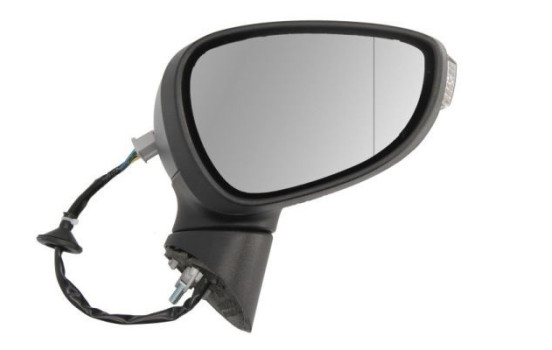 Exterior Mirror