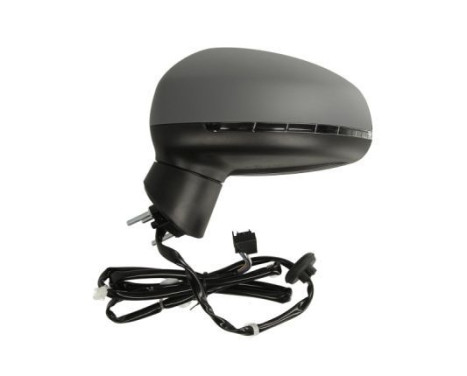 Exterior Mirror