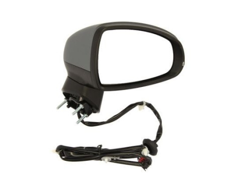 Exterior Mirror, Image 2