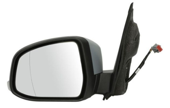 Exterior Mirror