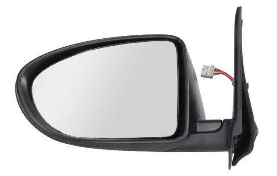 Exterior Mirror