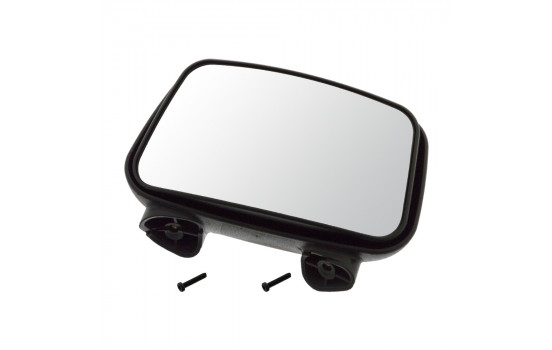 Main mirror