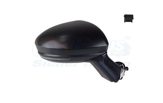 OUT.MIRROR.R.ELECTRIC.FULL 4422806 Hagus