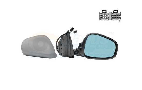 Outside Mirror 0113818 Hagus