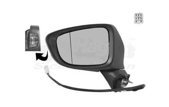 Outside Mirror 2766817 Hagus