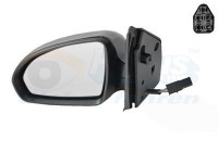 Outside Mirror 2911817 Van Wezel
