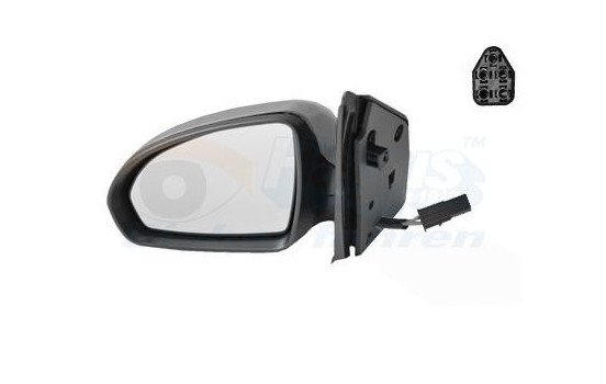 Outside Mirror 2911817 Van Wezel